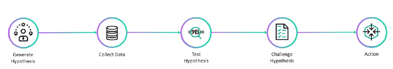 Investigation Process