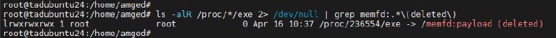 Searching for malware in the file system